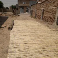 حصیرقامیش|صنایع دستی و سایر لوازم تزئینی|گنبد کاووس, |دیوار