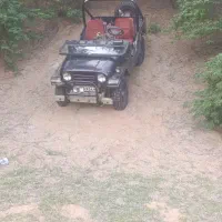 دو عدد جیپ کا ام فروشی