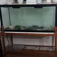 آکواریوم بزرگ در حد نو