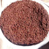 کشمش تیزابی|خوردنی و آشامیدنی|تاکستان, |دیوار