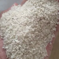 نیم دانه|خوردنی و آشامیدنی|فاضل آباد, |دیوار