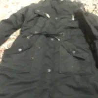 یک عددپالتودرحدنو