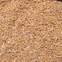 کود اوره|حراج|آباده, |دیوار