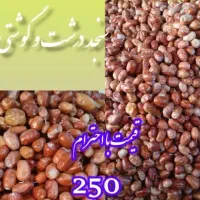 سنجد درشت و تازه امساله