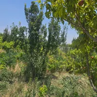 باغ و باغچه ۳۵۵ متری/سندتکبرگ/مجوزدار|فروش زمین و ملک کلنگی|شهریار, |دیوار
