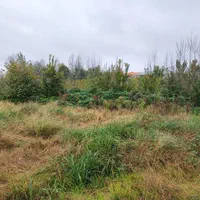 فروش زمین مسکونی سنددار در بلوار دیلمان لاهیجان|فروش زمین و ملک کلنگی|لاهیجان, بوجایه|دیوار