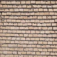 استاد پلاصطر و سیمان سفید