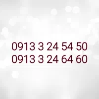 09133245450