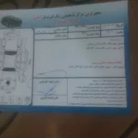 پیکاپ ریچ دوکابین، مدل ۱۳۹۸|خودرو سواری و وانت|سیرجان, |دیوار