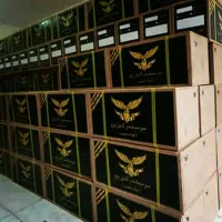 منشی یا دفتر دار، حسابدار خانم