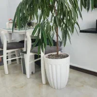 اجاره اتاق در سالن زیبایی