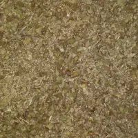 فروش آویشن پهن منطقه ی زرین دشت