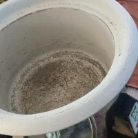 تعدادی وسیله خانه|ظروف سرو و پذیرایی|شوشتر, |دیوار