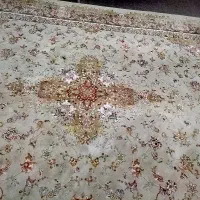 فرش|فرش|قم, شهرک فاطمیه|دیوار