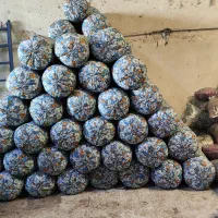 بالشت|رختخواب، بالش، پتو|مشهد, طبرسی شمالی|دیوار