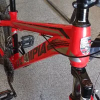 دوچرخه  مدل المپیاد ۲۴