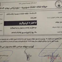 حواله طفاله چغندر شرکت قند ارومیه