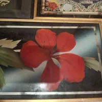 شش عدد تابلو سالم|تابلو، نقاشی، عکس|تبریز, |دیوار