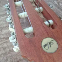 گیتار برای تازه کارها|گیتار، بیس، امپلیفایر|سرعین, |دیوار