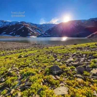 زمین جزیره مینو شهرک صنعت نفت