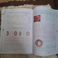 زیست یازدهم خیلی سبز|کتاب و مجله آموزشی|اردبیل, |دیوار