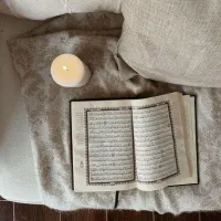 انواع پالتو، کاپشن و مانتو سایز ۴۲ و ۴۴
