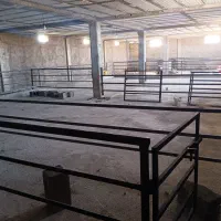 فروش  دامداری صنعتی گوسفند داشتی 200راسی|فروش دفتر صنعتی، کشاورزی، تجاری|زنجان, |دیوار