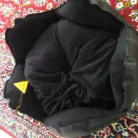 سگها شیتزو بسیار زیبا جنسیت نر|سگ|سقز, |دیوار