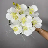 دسته گل عروس