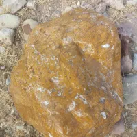 جاسپرخونی|کلکسیون و سرگرمی|شاهین دژ, |دیوار