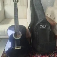 گیتارvalencia.CG160و سنتور برای آموزش اولیه