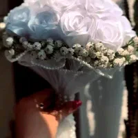 گیف عروس|گل و گیاه طبیعی|مشهد, شهرک امام هادی (شهرک غرب)|دیوار