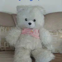 عروسکهای تمیز