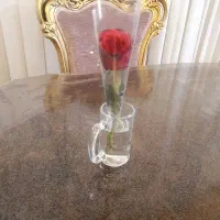 میز غذاخوری ۶ نفره در حد نو بسیار تمیز