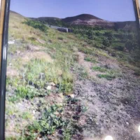 زمین-باغی-گلمکان