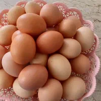 تخم مرغ محلی