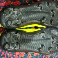 کفش ورزشی|کیف، کفش، کمربند|اهواز, سپیدار|دیوار