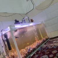 آکواریوم