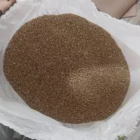 گندم مهرگان