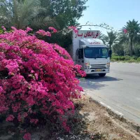 پیشگام درعرصه حمل و نقل باکامیون6.5مترفرزانگانبار