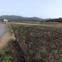 پنج خروارزمین کشاورزی دیم اجاره دوساله