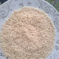 برنج طارم دم سیاه شیرین دره