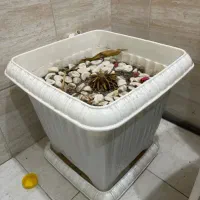 گلدان پلاستیکی بزرگ با خاک