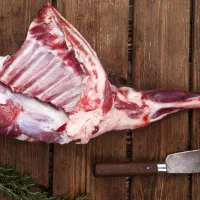 گوشت بره تازه کشتار روز چک ۳ماهه