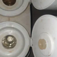 فلاکس دوقلو سالم