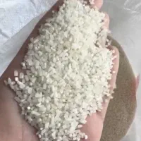 برنج سر لاشه وارداتی