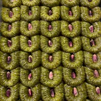 جذب نیروی ساده خانم واقا