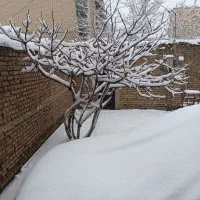 رهن و اجاره یک واحد سوییت