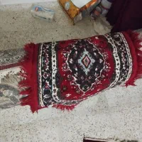 فرش|فرش|بیجار, |دیوار