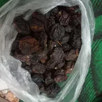 فروش انواع خشکبار حبوبات|خوردنی و آشامیدنی|رشت, سلیمانداراب|دیوار